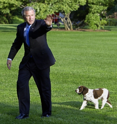 US President George W. Bush, followed by one of his pet dogs, Spot, waves after stepping off Marine One late 05 June 2003
