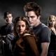 The ‘Twilight’ cast