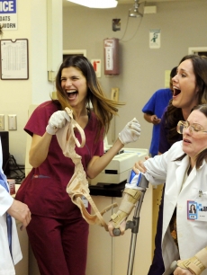 Rob Huebel as Dr. Owen Maestro (left, front), Lake Bell as Dr. Cat Black (center, in maroon scrubs), Erinn Hayes as Dr. Lola Spratt (right, back, in purple scrubs) and Megan Mullally as The Chief (right, front in white coat) star in “Childrens’ Hospital,” a new original digital series for TheWB.com
