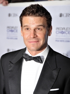 The photographers catch ‘Bones’ star David Boreanaz gearing up to smile on the red carpet