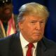 ‘The Celebrity Apprentice:’ Season 2 Cast Revealed