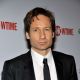 David Duchovny arrives at the official Showtime after party for the 66th Annual Golden Globe Awards