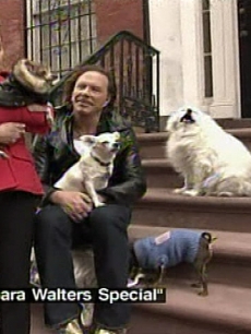 Mickey Rourke interviewed by Barbara Walters surrounded by his dogs outside of his NYC home, including his pug, La Negra