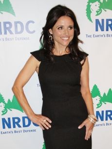 Julia Louis-Dreyfus sports an LBD at the National Resources Defense Council 20th Anniversary Celebration at the Beverly Wilshire Hotel on April 25, 2009