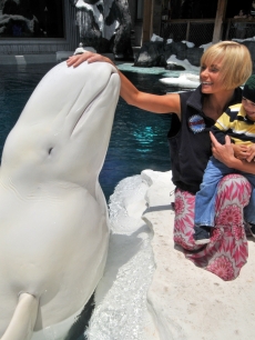 Jaime Pressly and her 2-year-old son, Dezi, meet Ferdinand the beluga whale during a Mother’s Day visit to SeaWorld San Diego’s Wild Arctic attraction