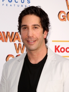 David Schwimmer attends a special New York screening of ‘Away We Go’ at Landmark’s Sunshine Cinema on June 1, 2009