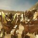 Skids and Mudflap from ‘Transformers: Revenge of the Fallen’